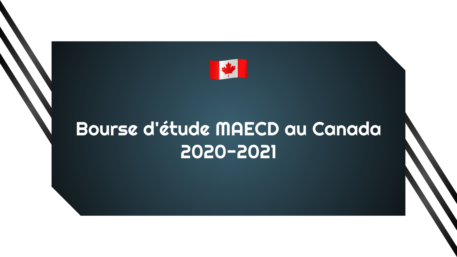 Bourse d'étude MAECD