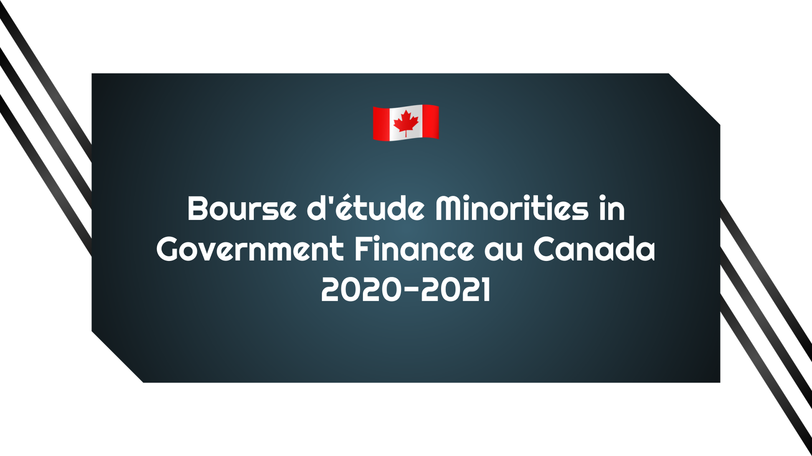 Bourse d'étude Minorities in Government Finance