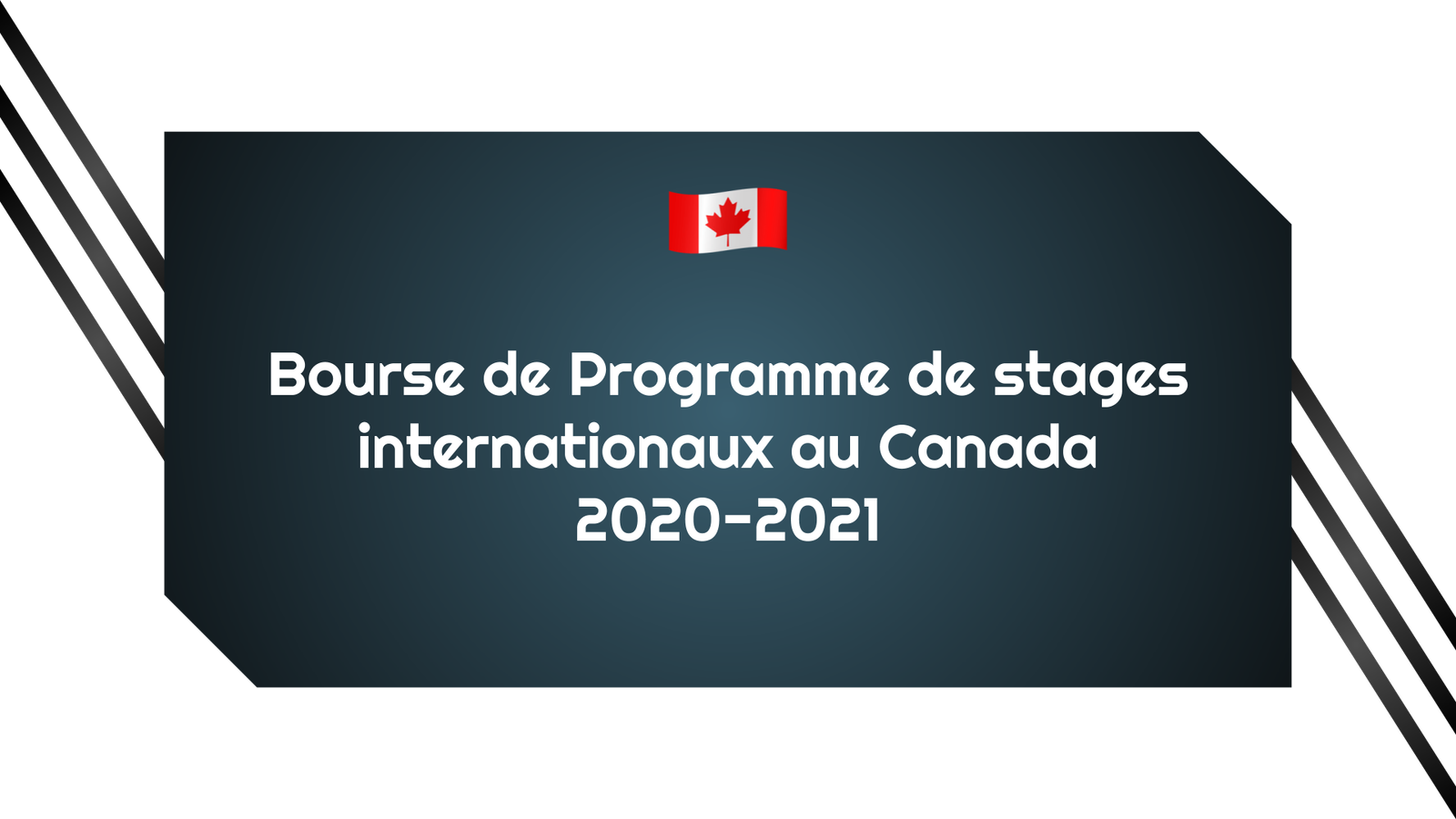 Bourse de Programme de stages internationaux
