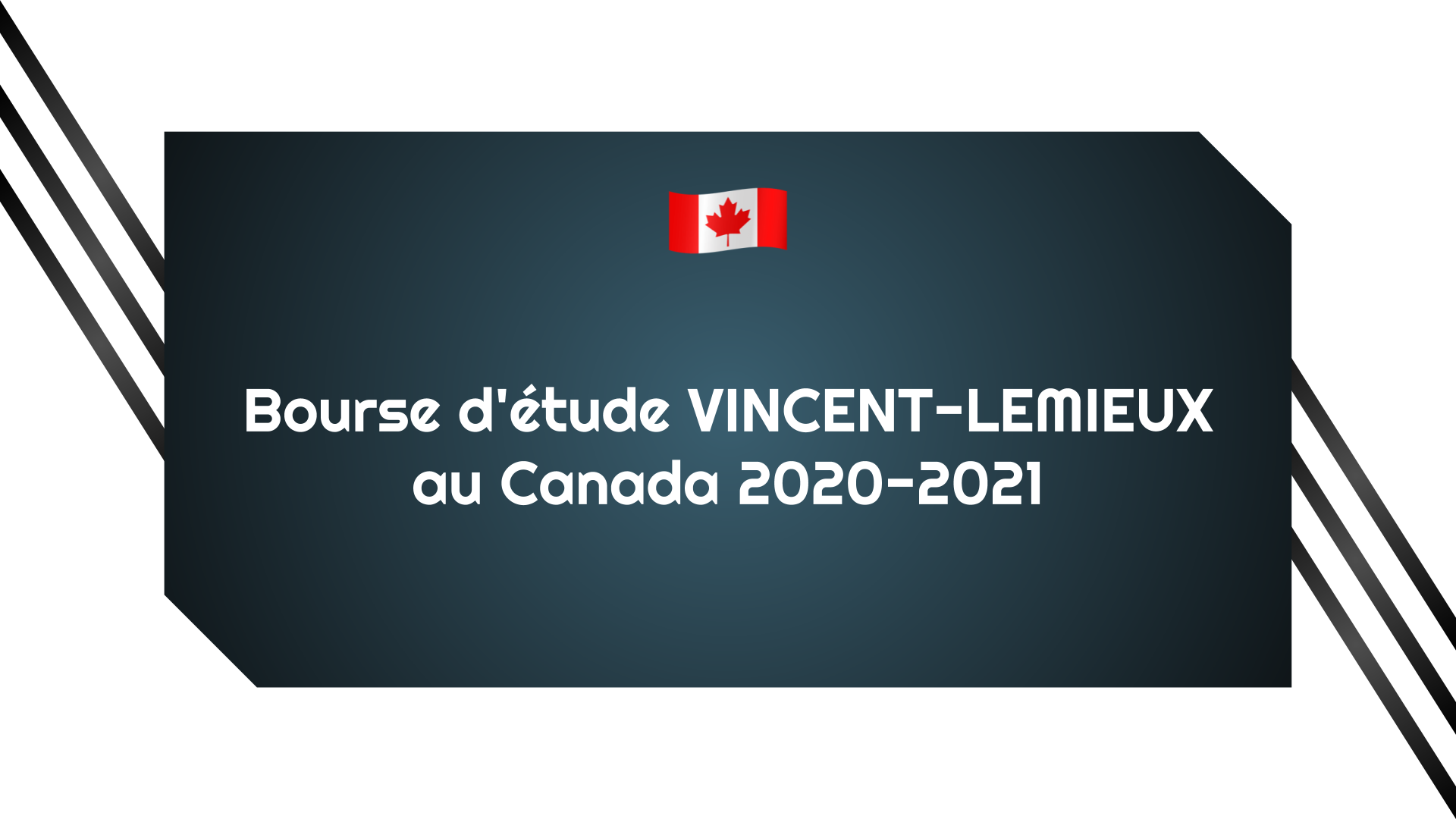 Bourse d'étude VINCENT-LEMIEUX au Canada 2020-2021