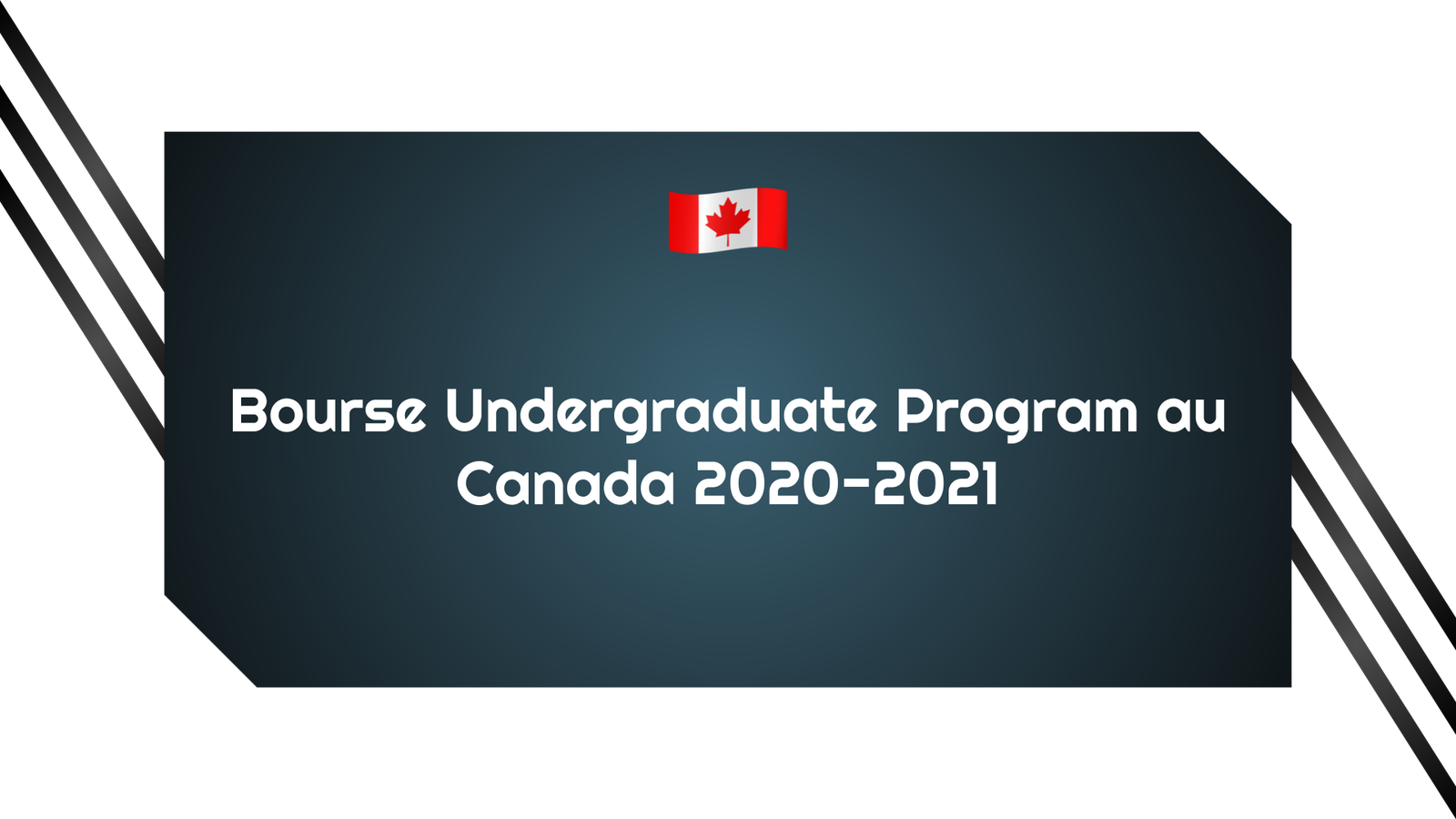 Bourse Undergraduate Program