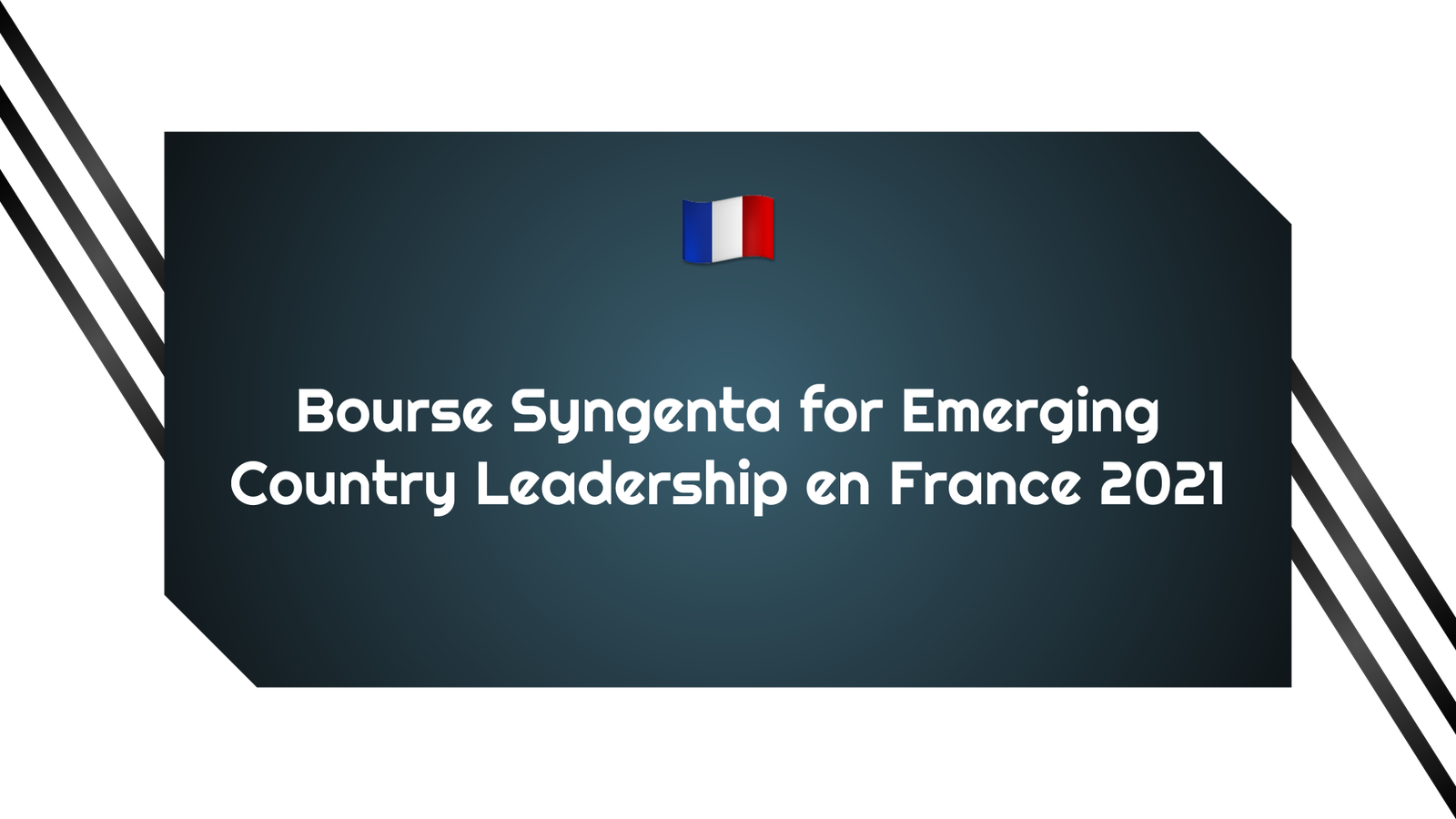 Bourse Syngenta for Emerging Country Leadership