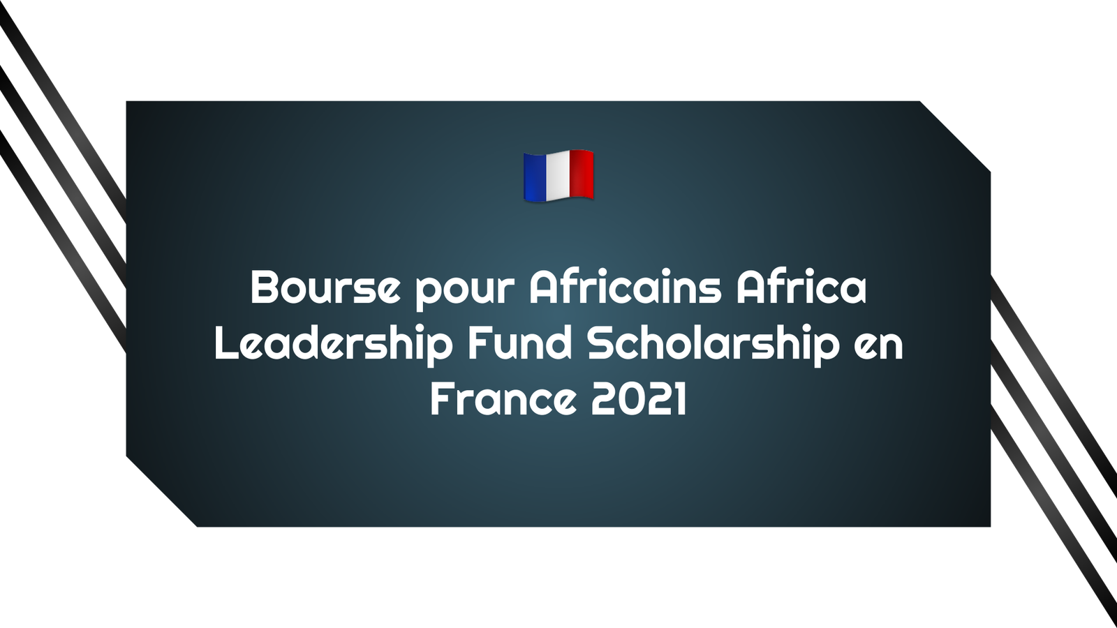 Bourse pour Africains Africa Leadership Fund Scholarship en France 2021