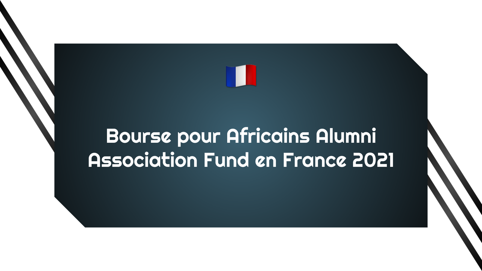 Bourse pour Africains Alumni Association Fund