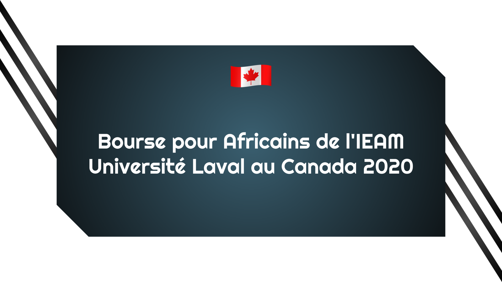 Bourse pour Africains de l'IEAM Université Laval