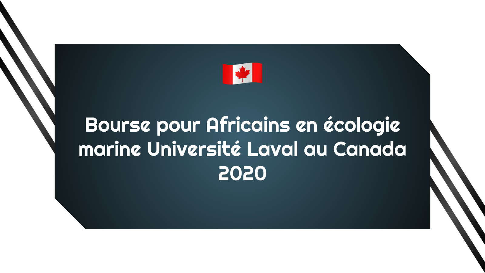 Bourse pour Africains en écologie marine Université Laval