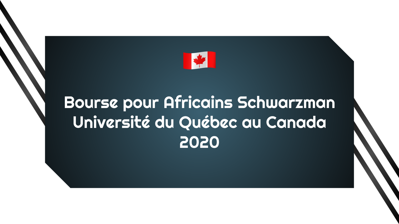 Bourse pour Africains Schwarzman Université du Québec