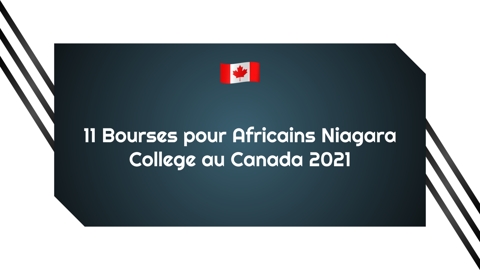 11 Bourses pour Africains Niagara College